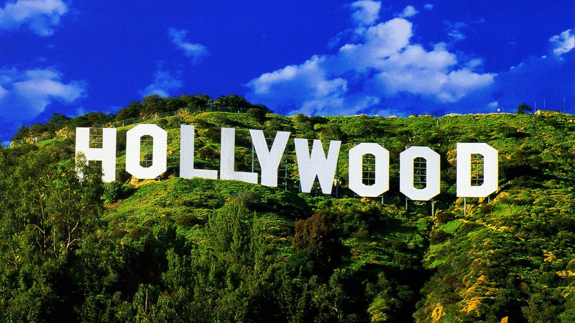 Hollywood Stars and Penis Extenders